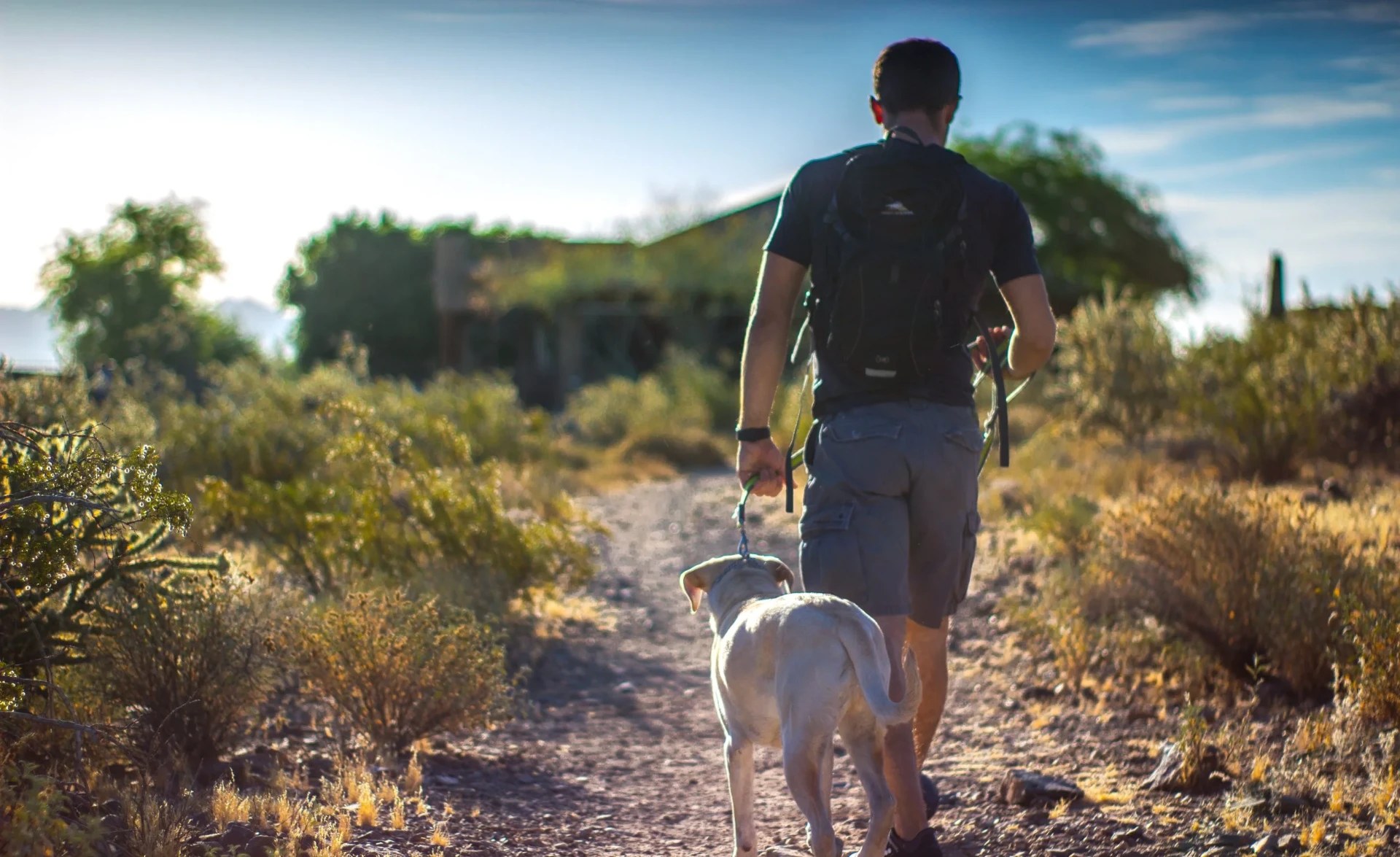 Trainer walking a dog off-leash on a Phoenix desert trail